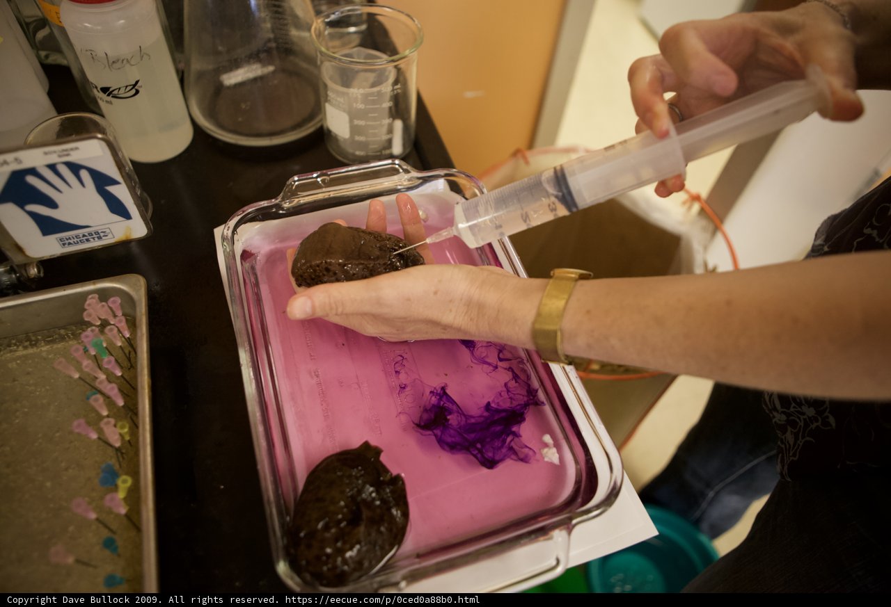 Cake Decorating with a Syringe