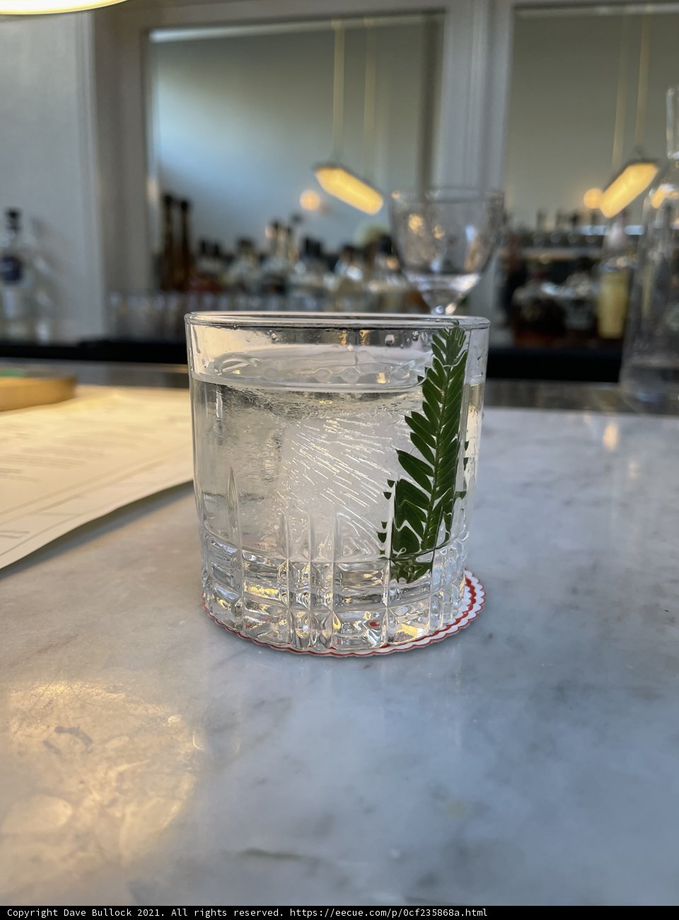 Refreshing Fern Infused Water