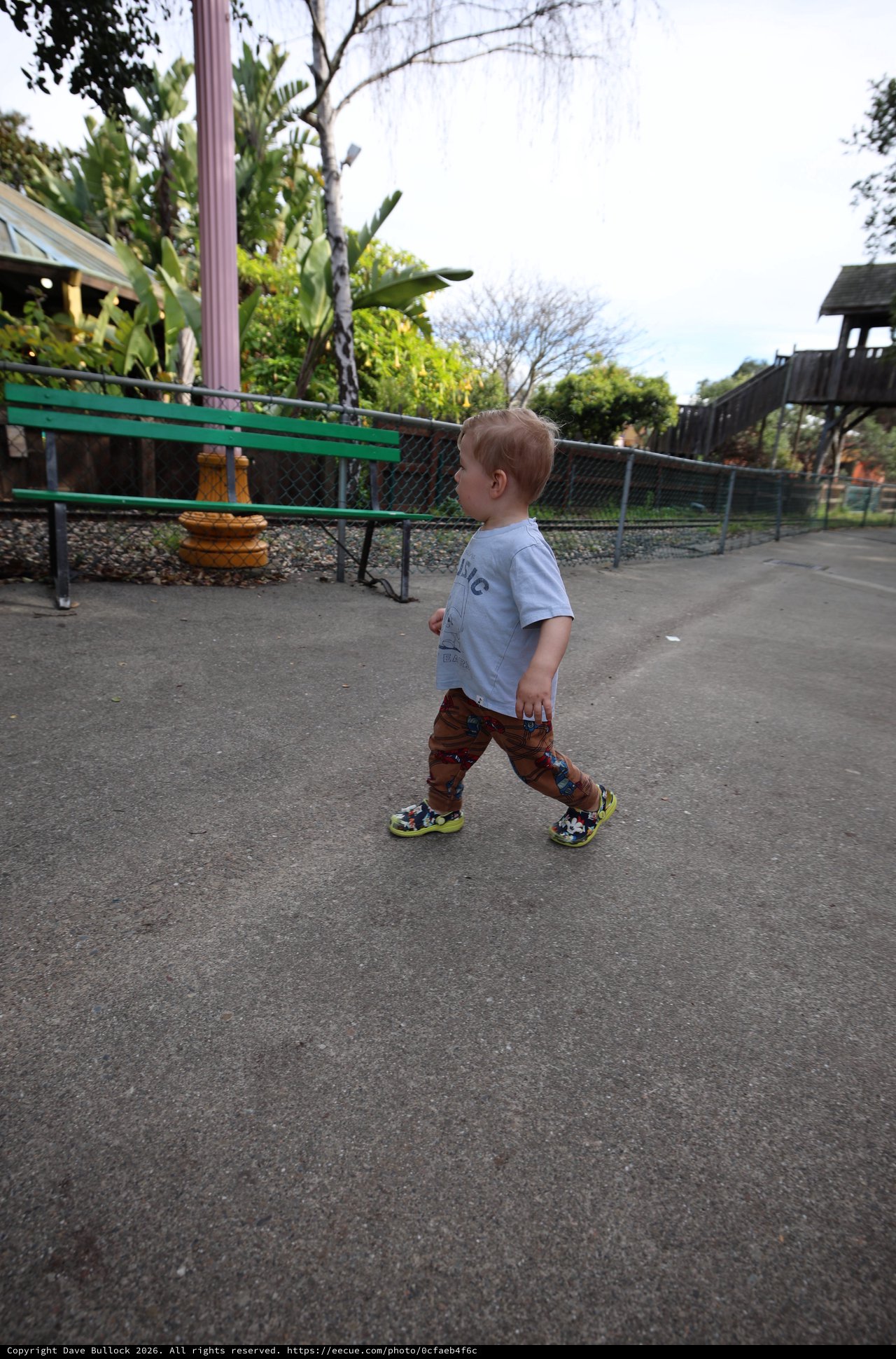 Toddler Exploring Fantasyland at Dusk