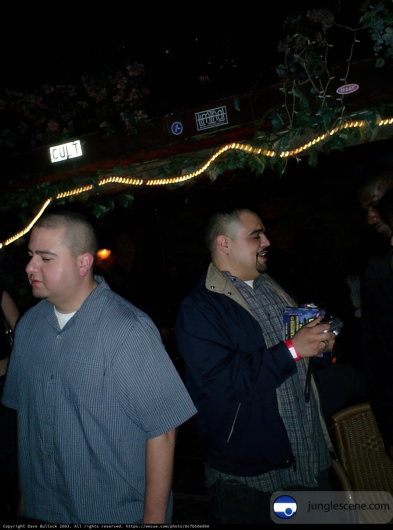 Partygoers enjoying the night