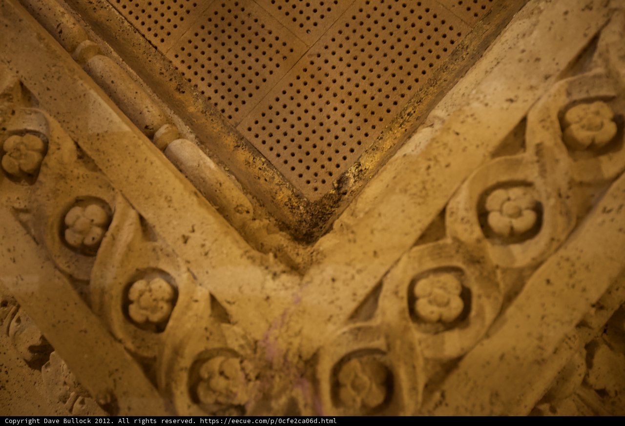 Delicate Motifs of Siena's Cathedral Ceiling