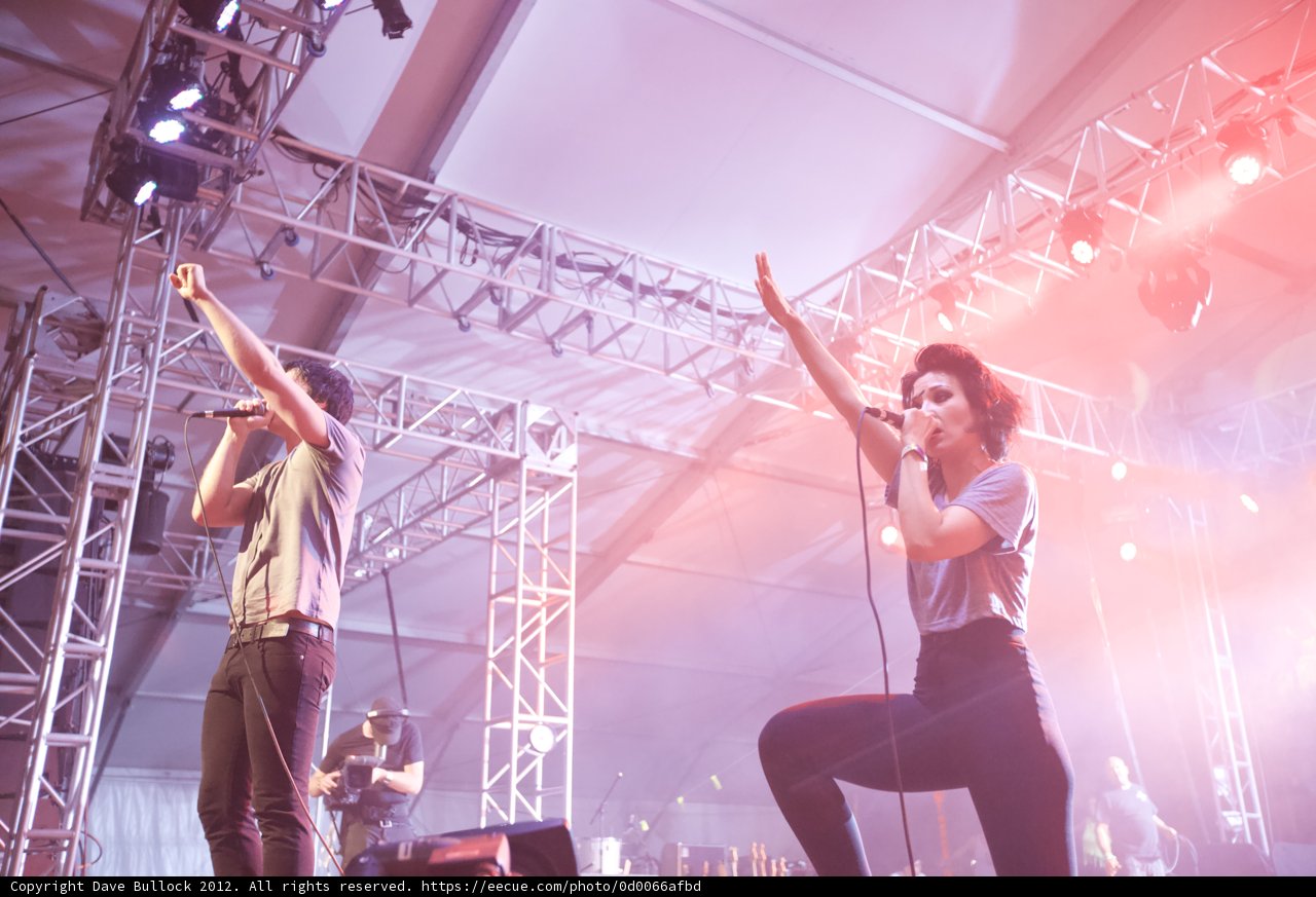 Spotlight on Singers at Coachella 2012