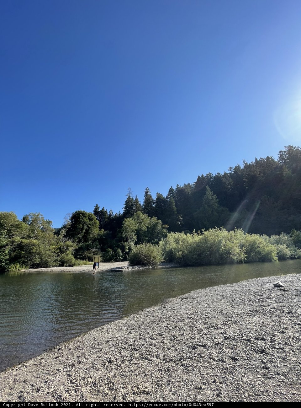 Sunlit Serenity: A River View