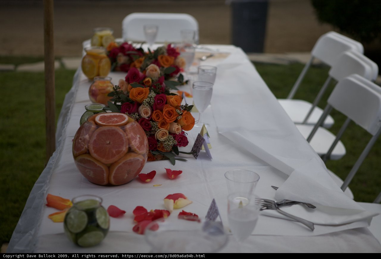 The Bountiful Table at the Hertz Wedding