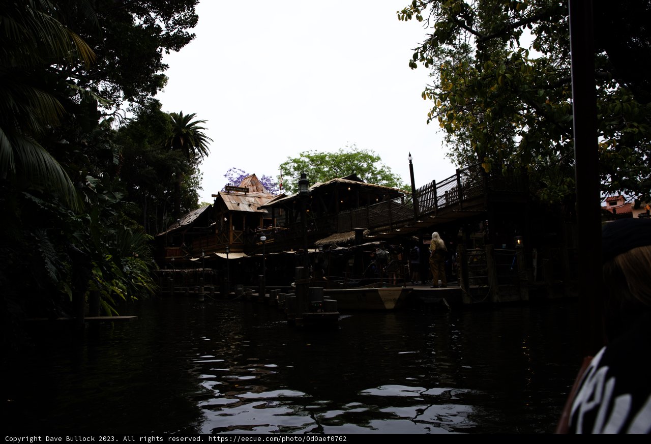 Serene Boat Ride at Disneyland