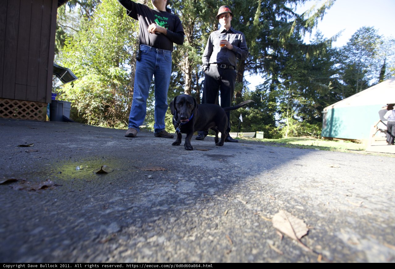 Man and Dog in the Driveway