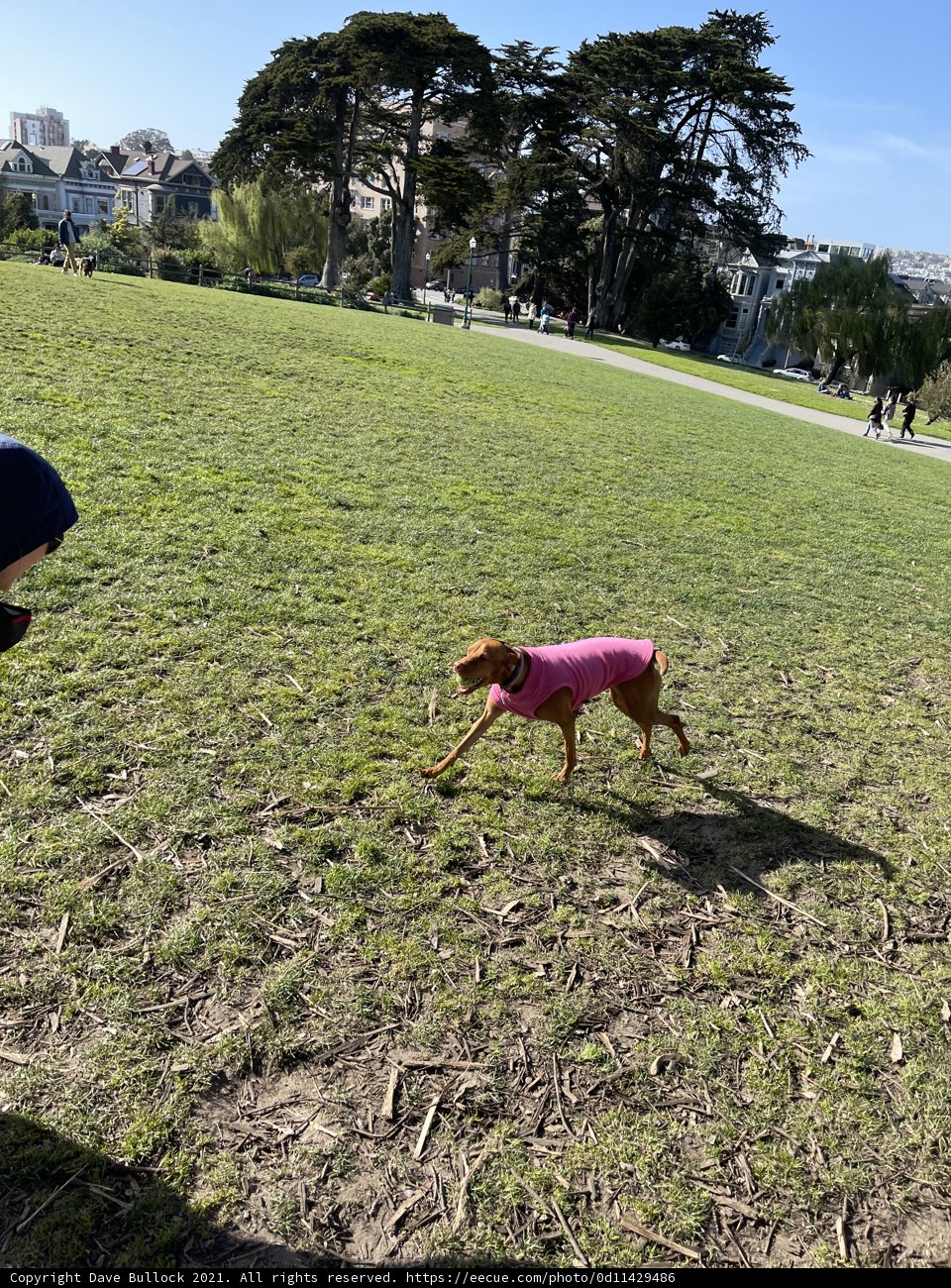 Running with My Best Friend