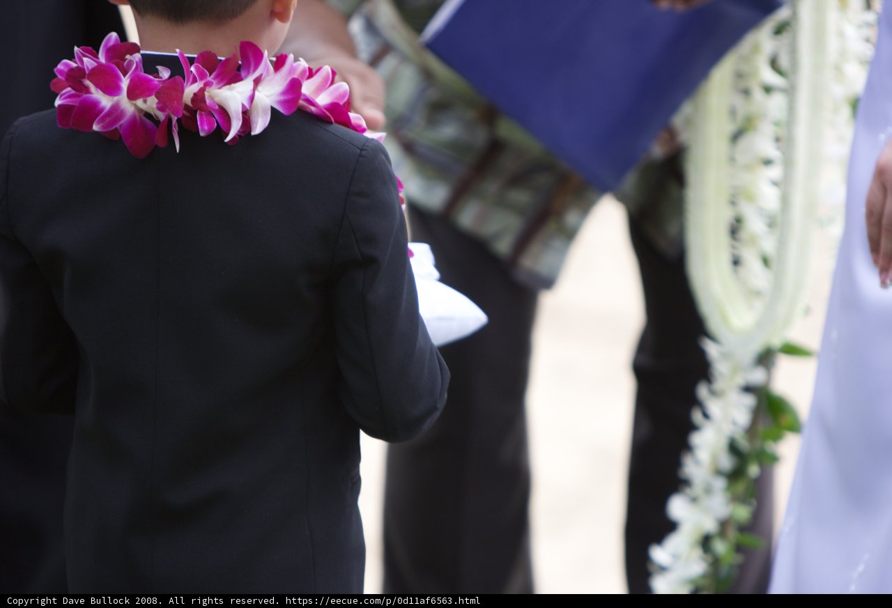 Lei of Happiness