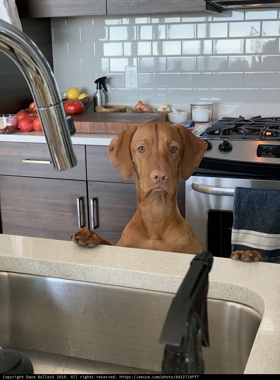 Kitchen Helper