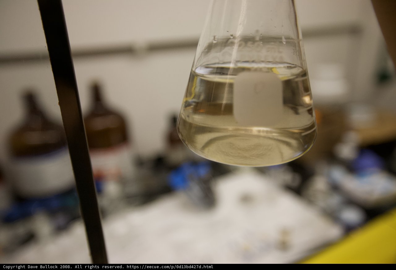 Lab Experiment