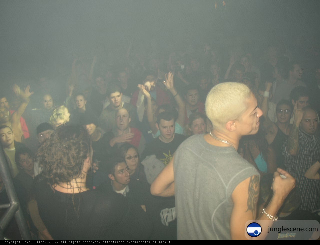 Nightclub Crowd