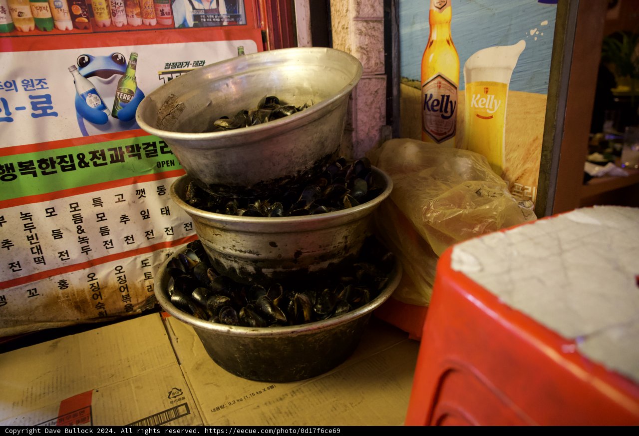 Culinary Adventure in Korea
