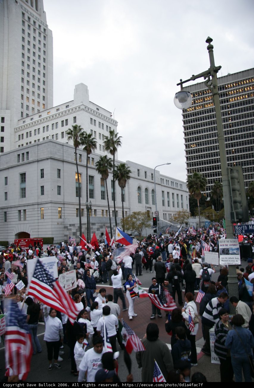 Patriotic Crowd in the Metropolis
