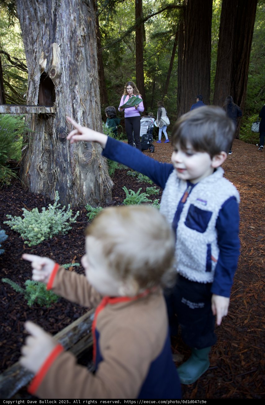 Exploring the Wonders of Thistlewyck Grove
