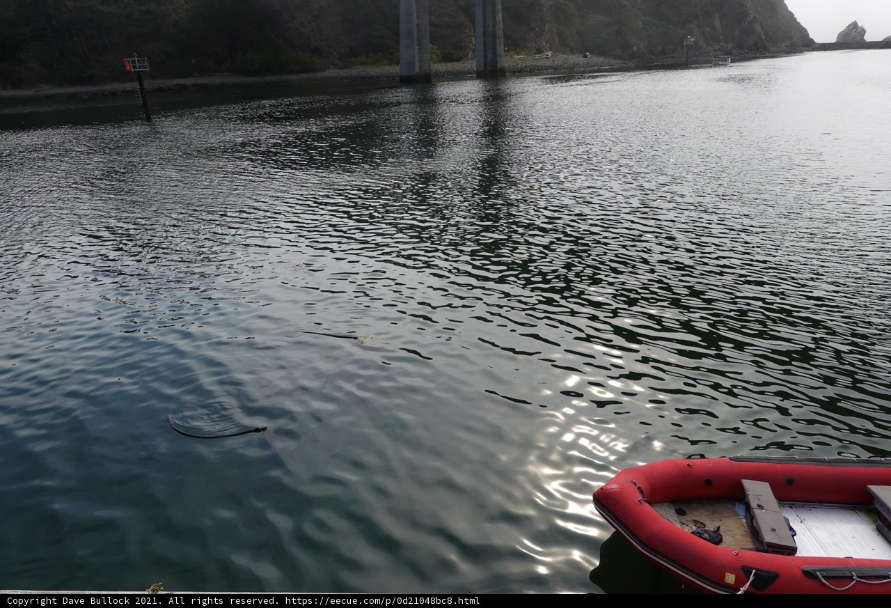 Boat on the Fort Bragg Waters