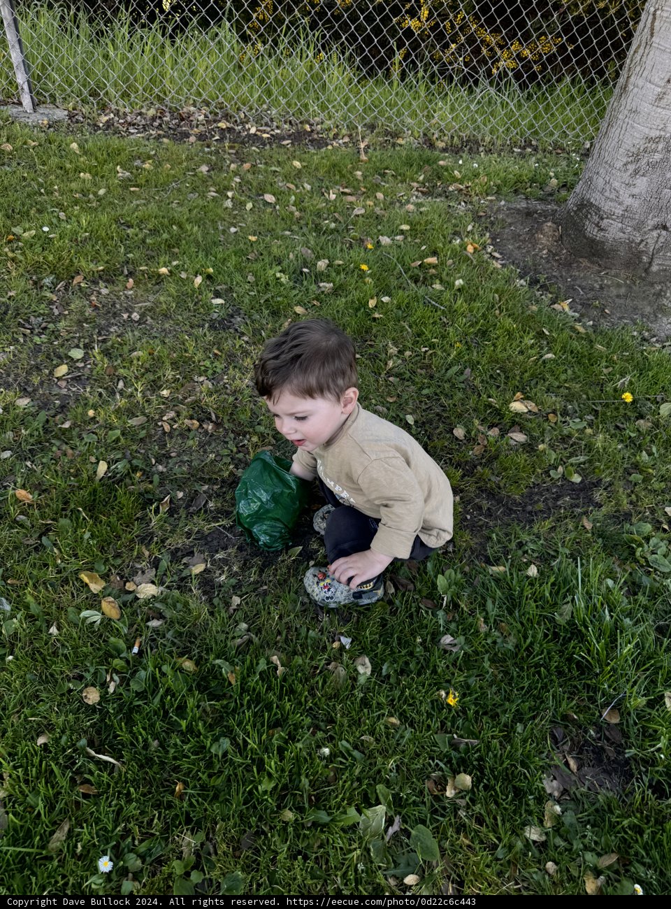 Seeds of Childhood: An Afternoon with Wesley