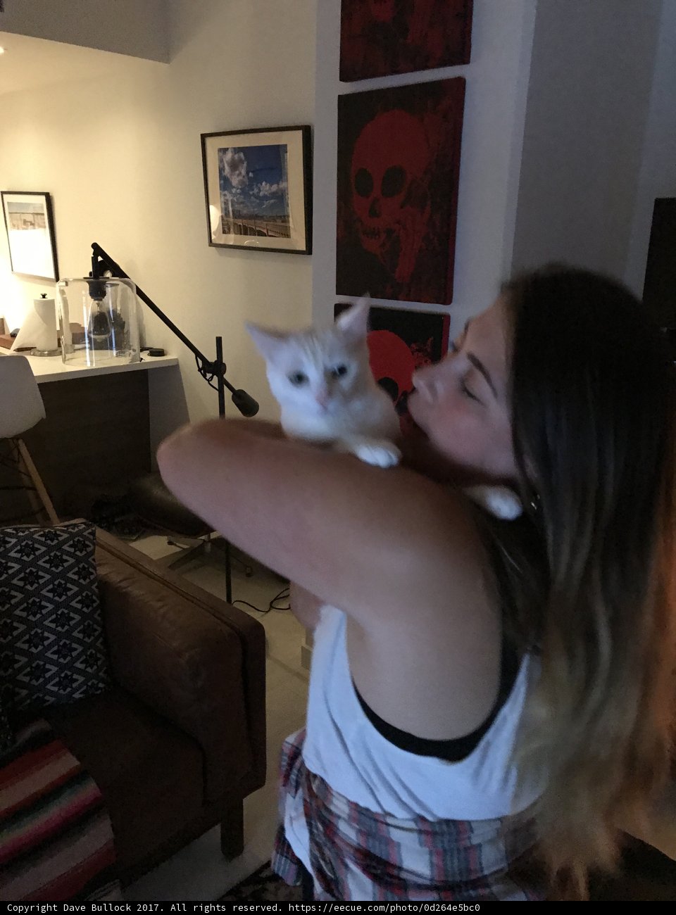 A Cozy Afternoon with My Feline Friend