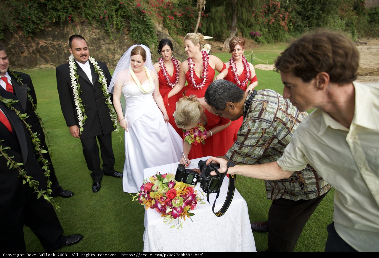 Capturing Memories on the Lush Green Landscape