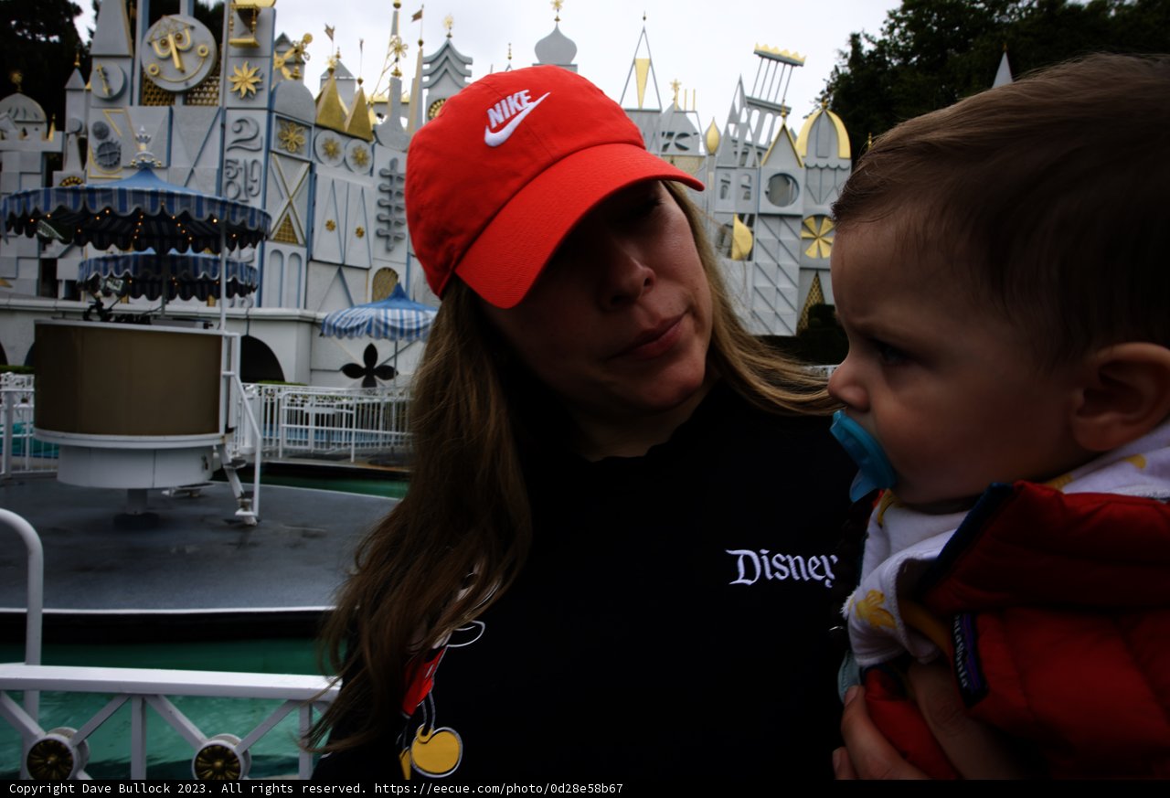 Magical Moments at Disneyland