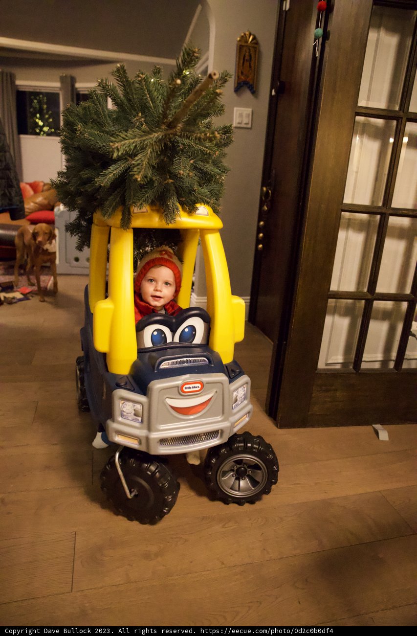 Wesley's Merry Little Christmas