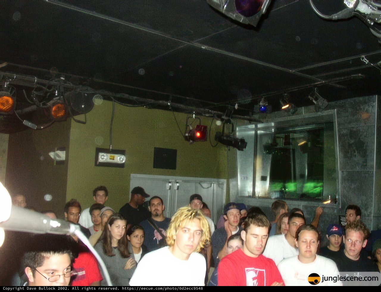 Nightlife Excitement