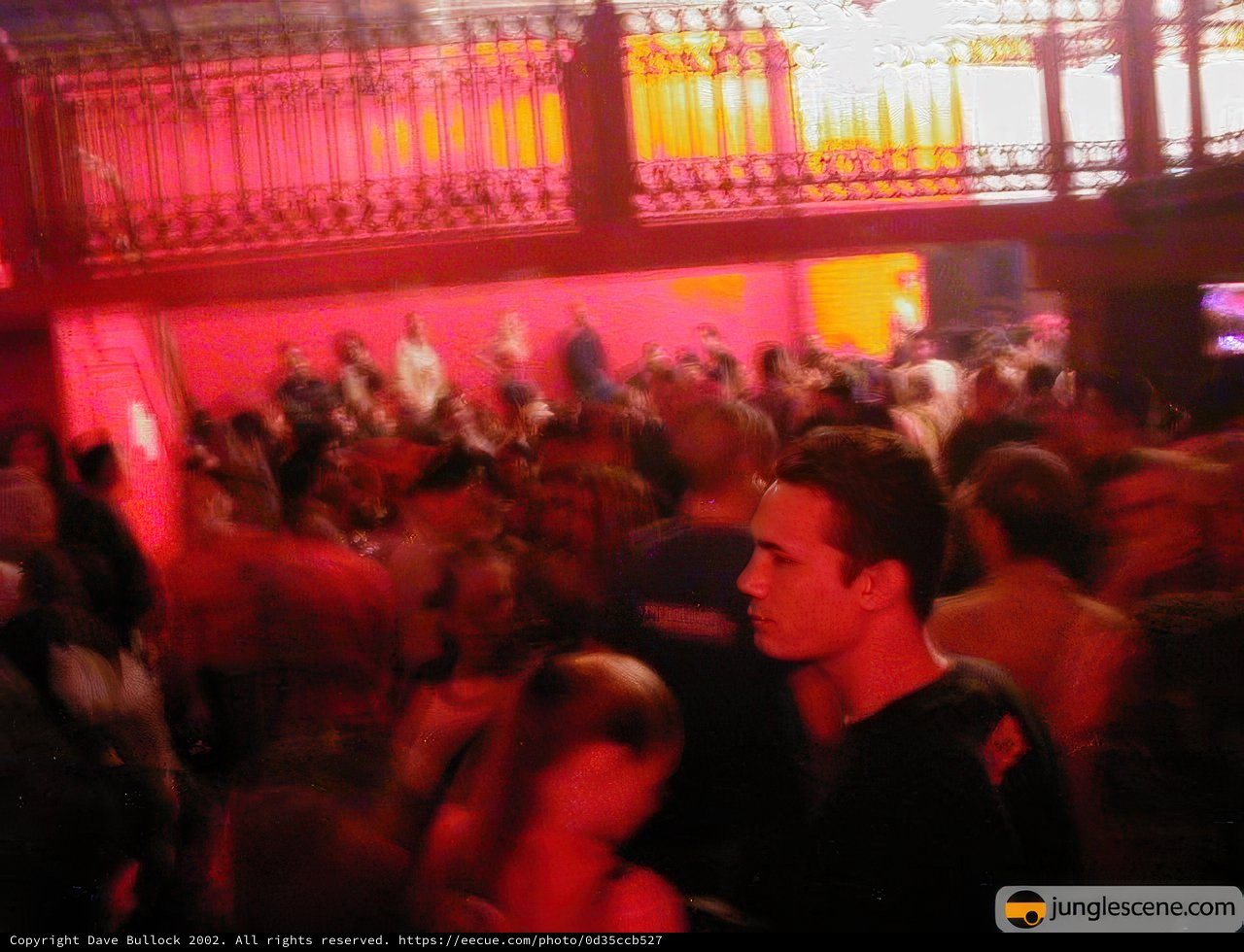 Nightclub Fun