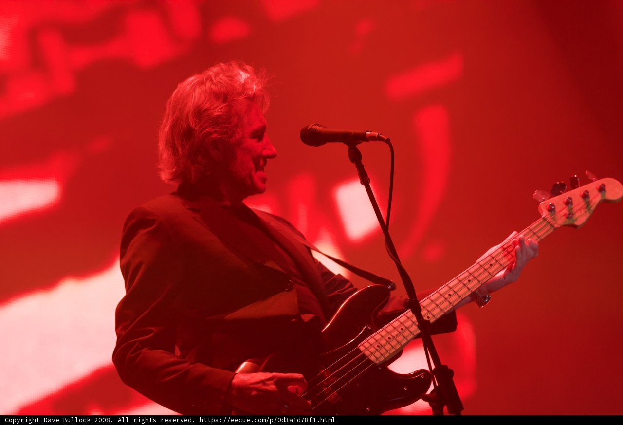 Bassist in a Suit Rocks Coachella