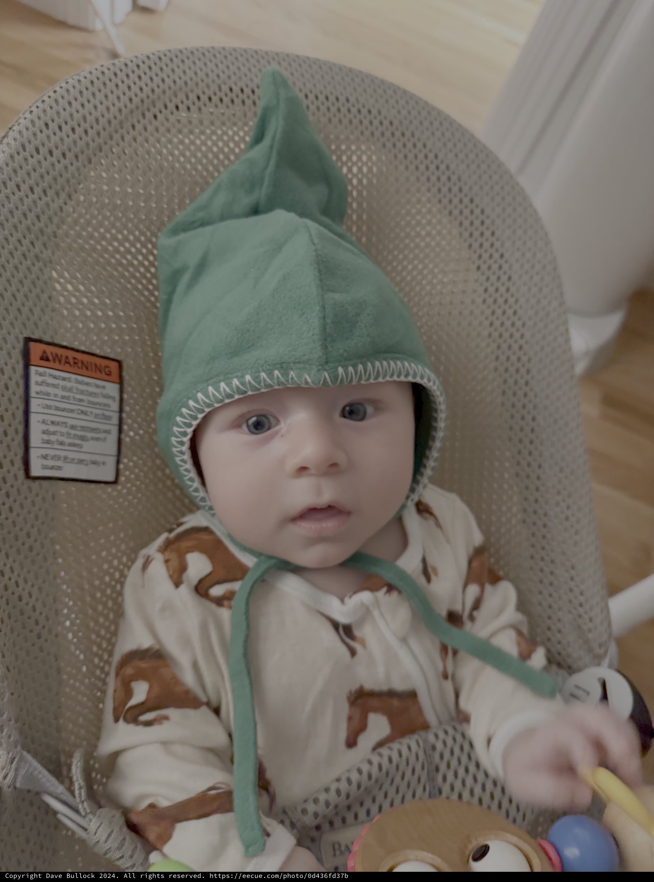 Adorable Baby in Green Elf Hat