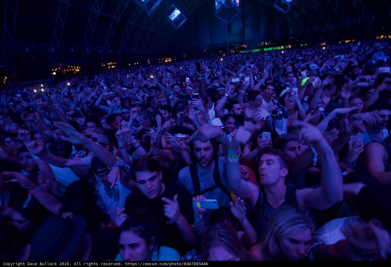 Coachella Crowd Goes Wild