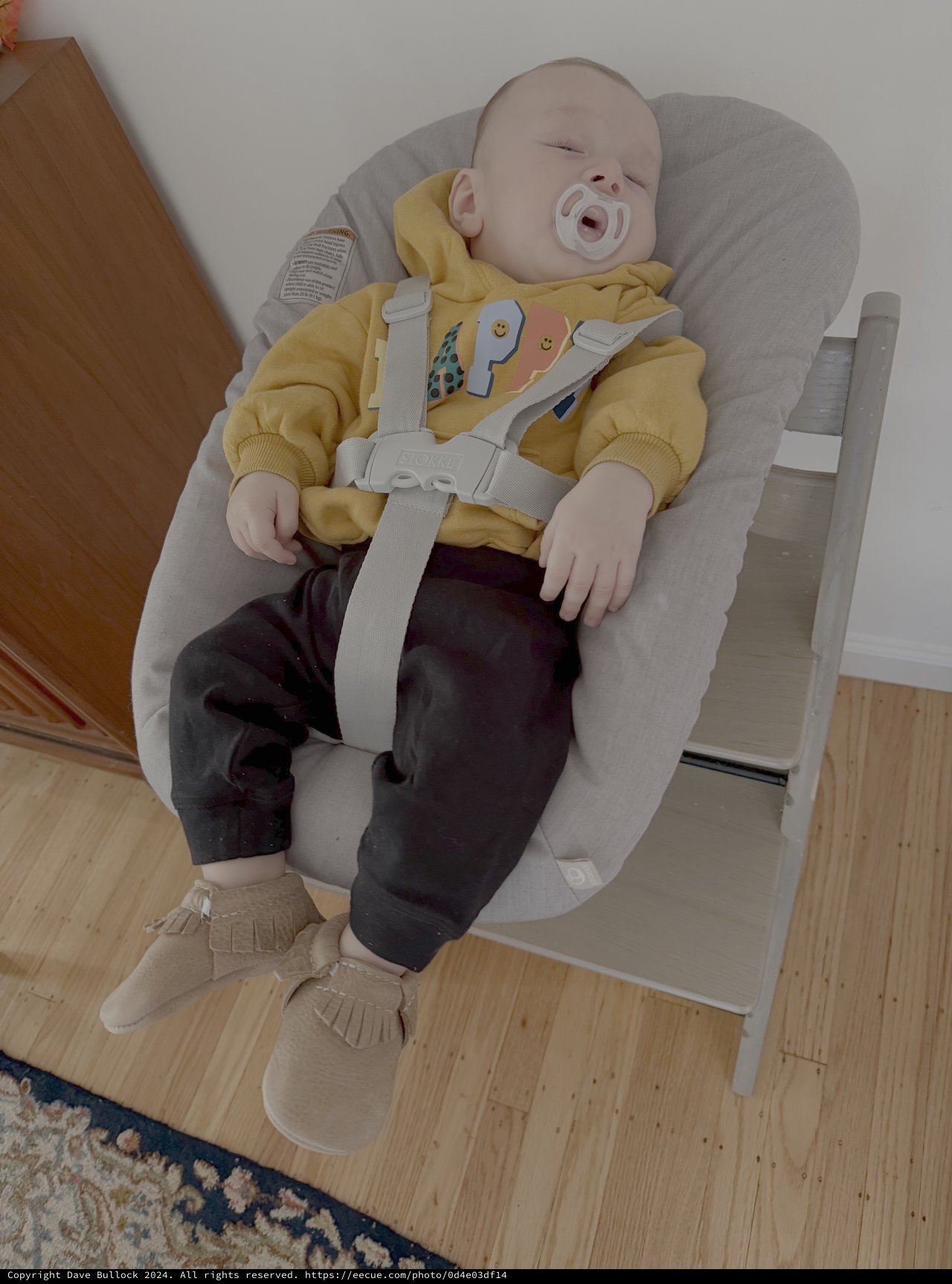 Peaceful Baby Napping in Modern High Chair