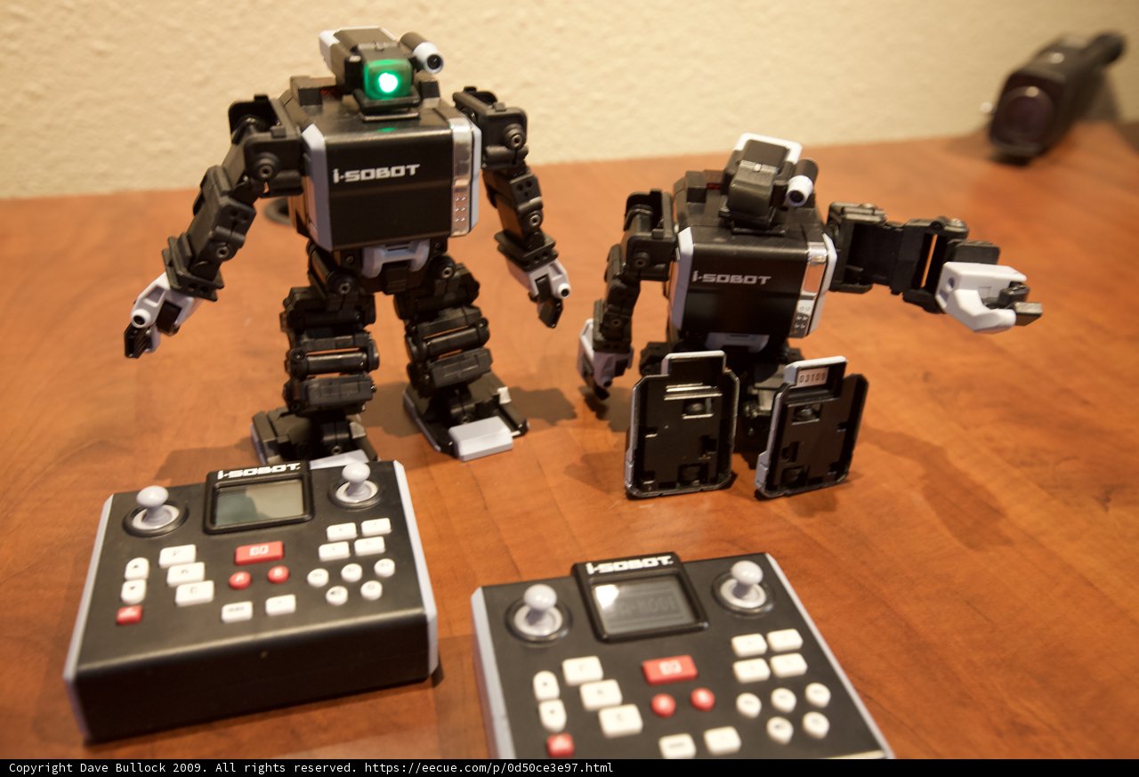 Wooden Robot Duo
