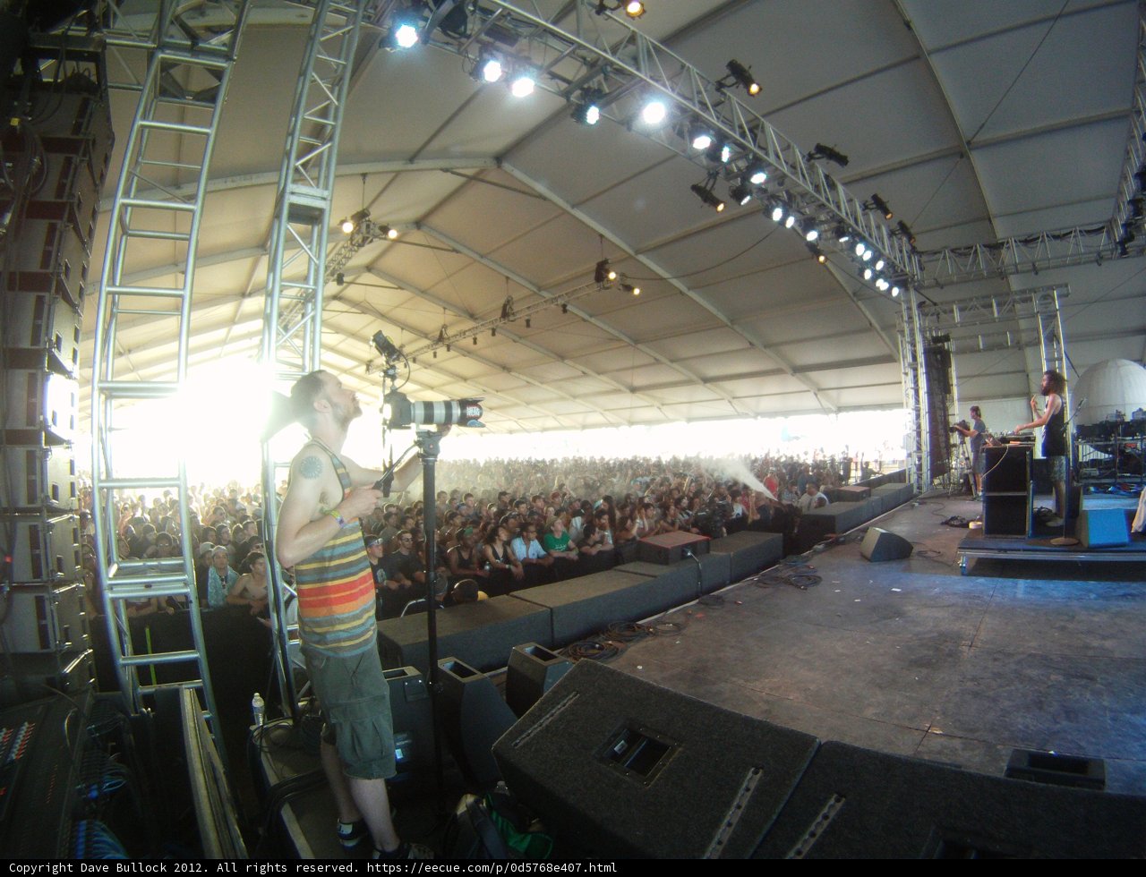 Capturing the Crowd