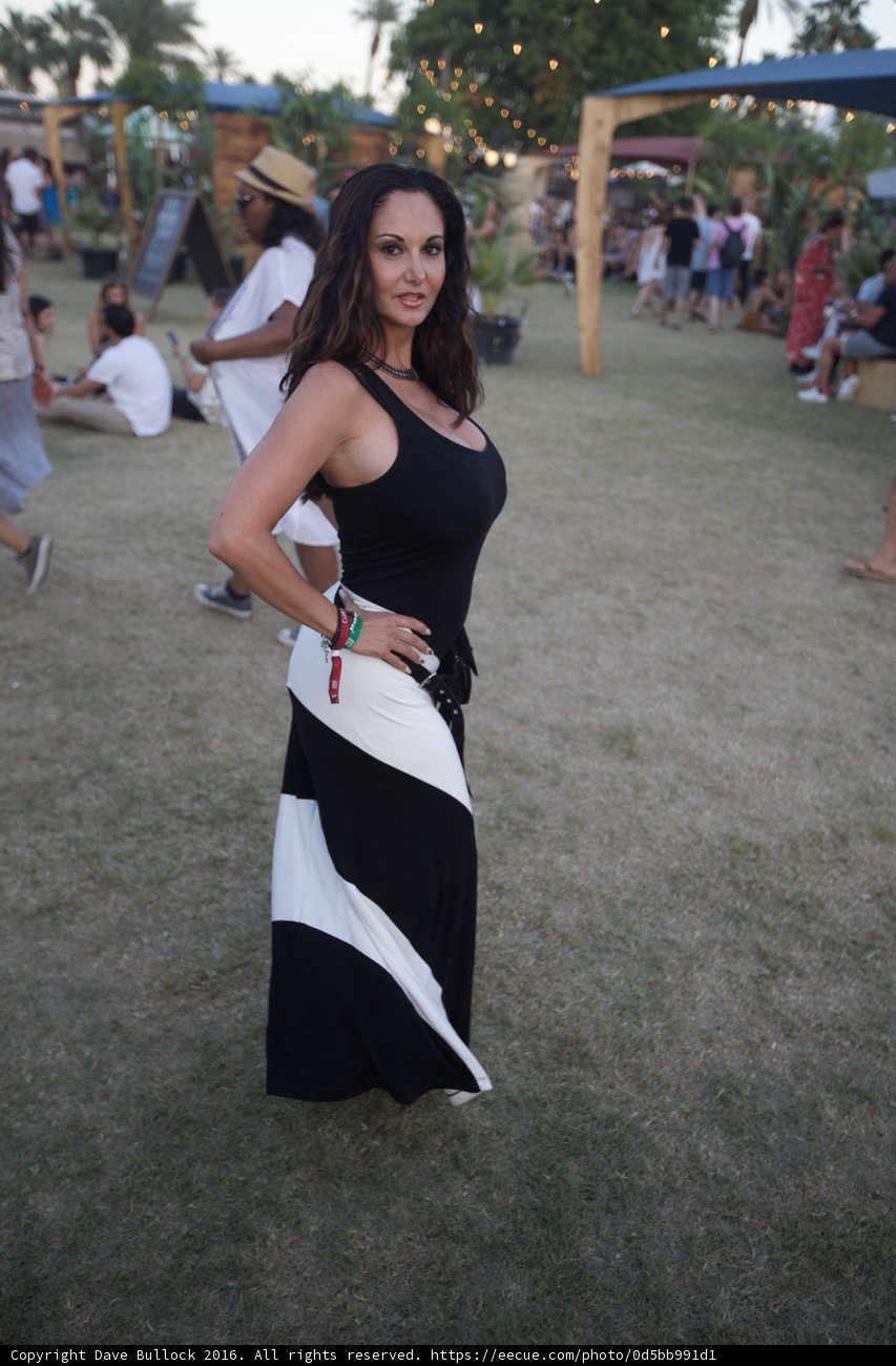 Evening Elegance in the Grass