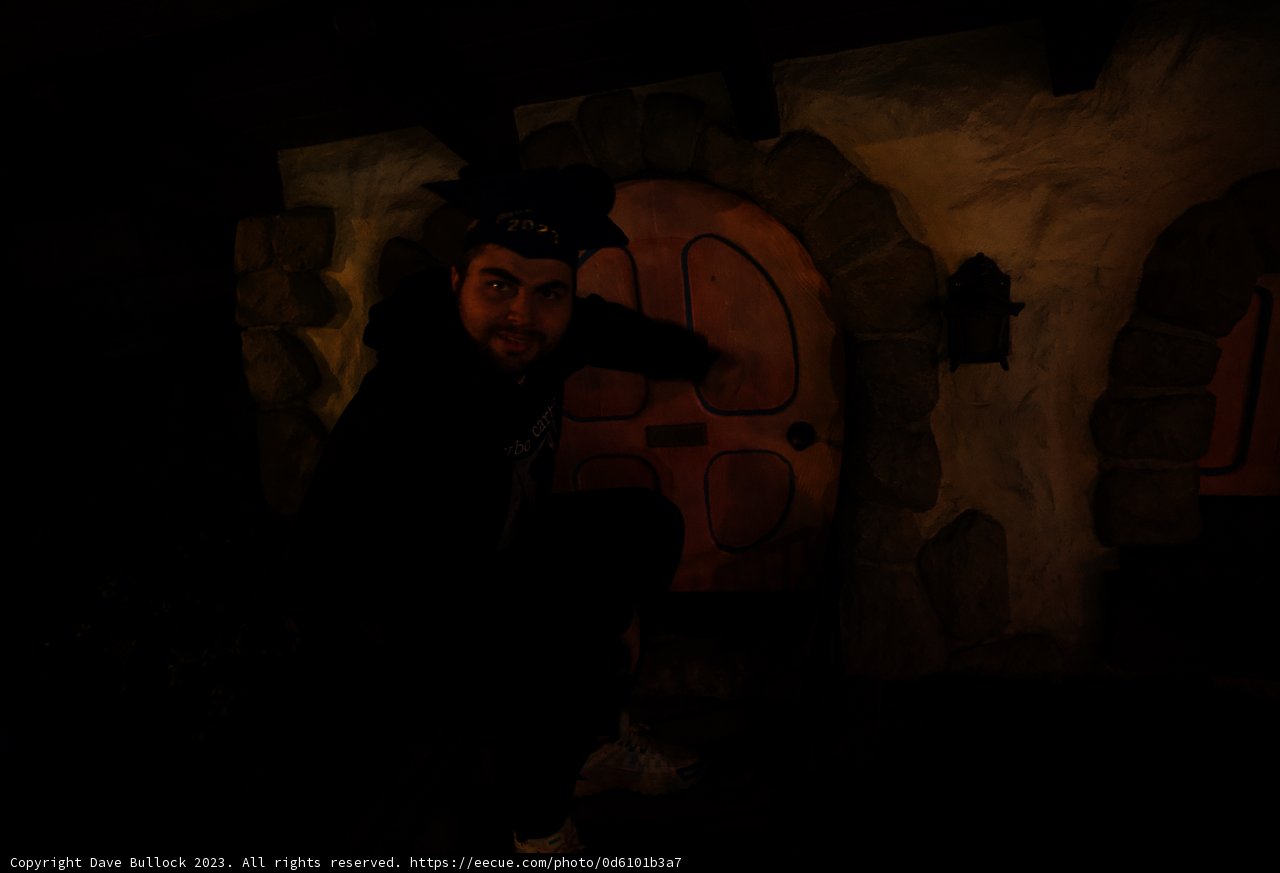 Mysterious Man at Disneyland