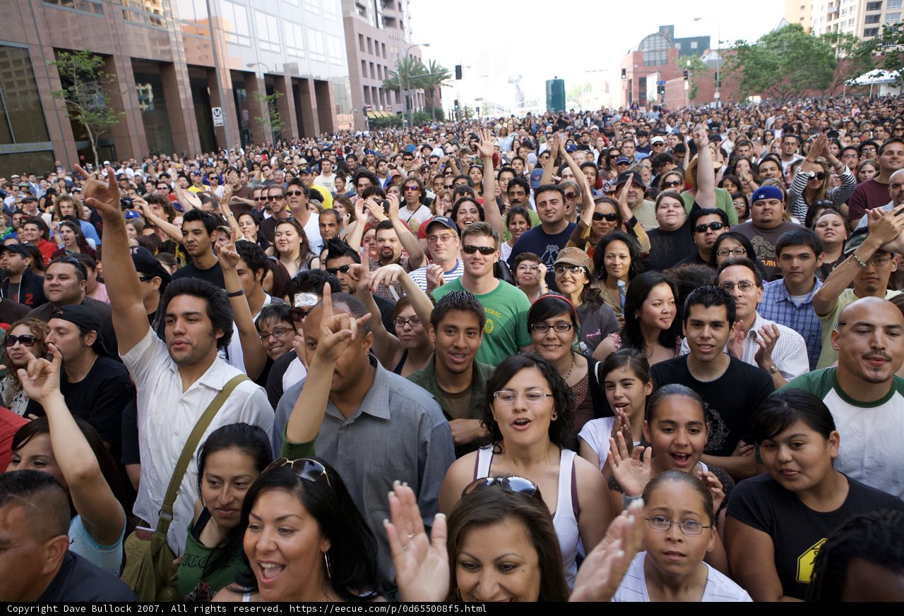 A Sea of Excitement