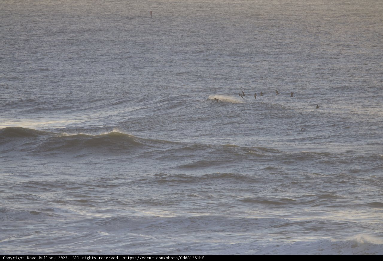 Conquering the Waves: Big Surf Day 2023