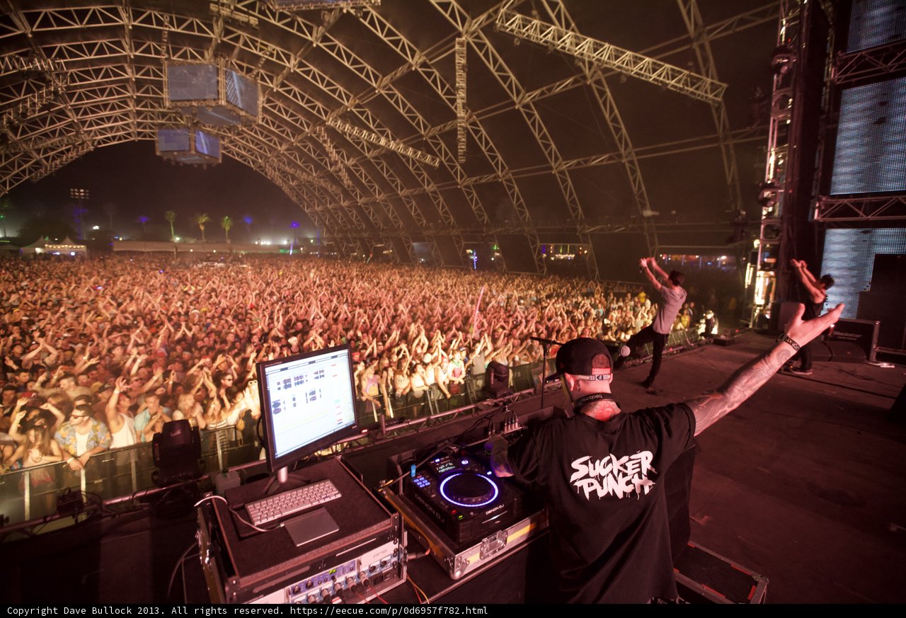 DJ Hyping up the Crowd at Coachella