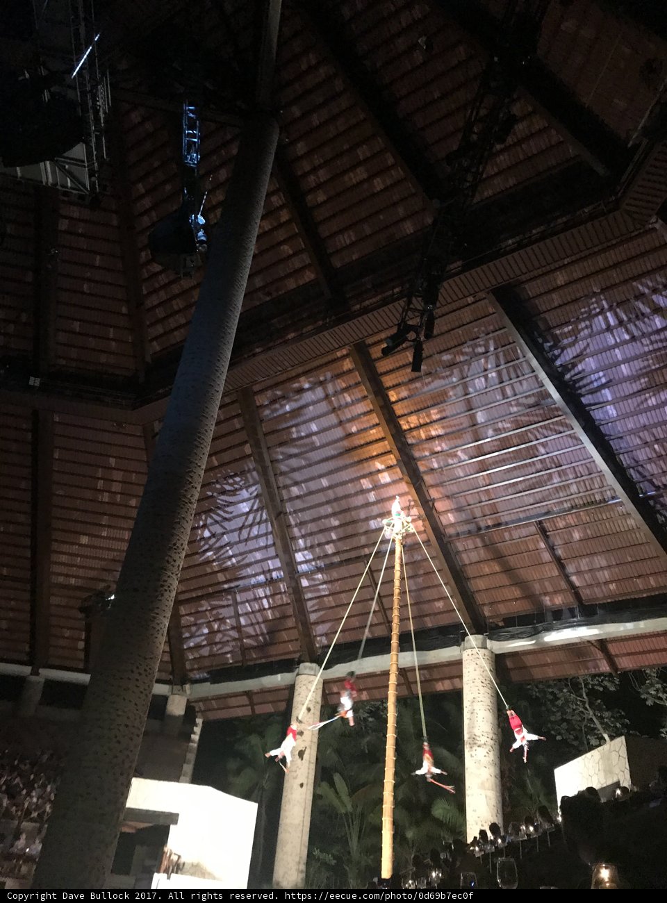 Towering Canopy Over Concert Crowd