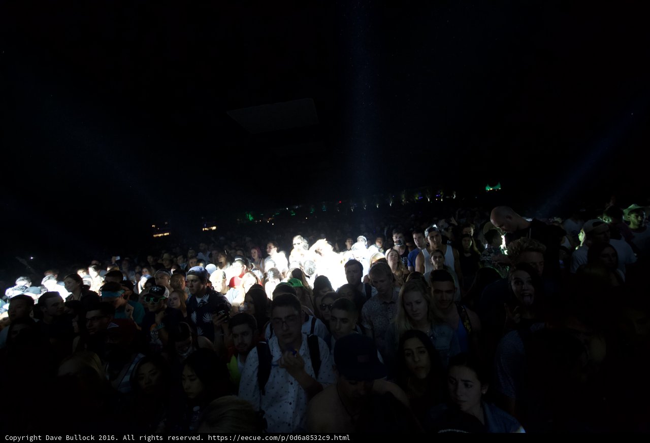 Bright Lights and a Boisterous Crowd