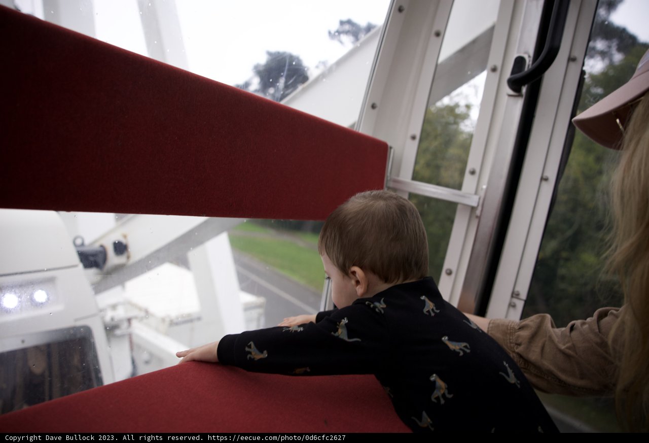 Golden Gate Gaze: Ferris Wheel Moments