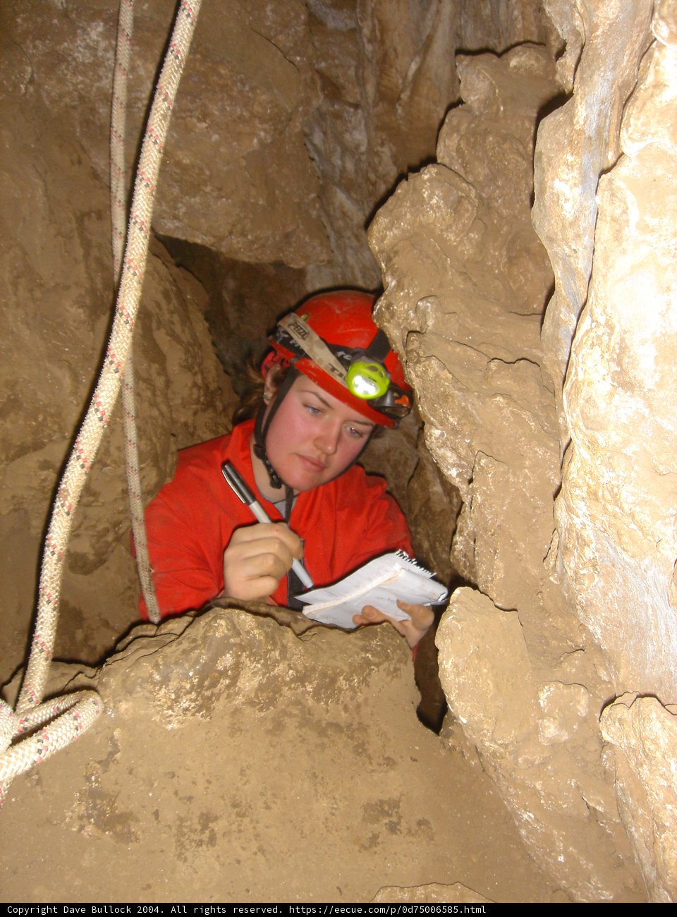 Explorer in Orange