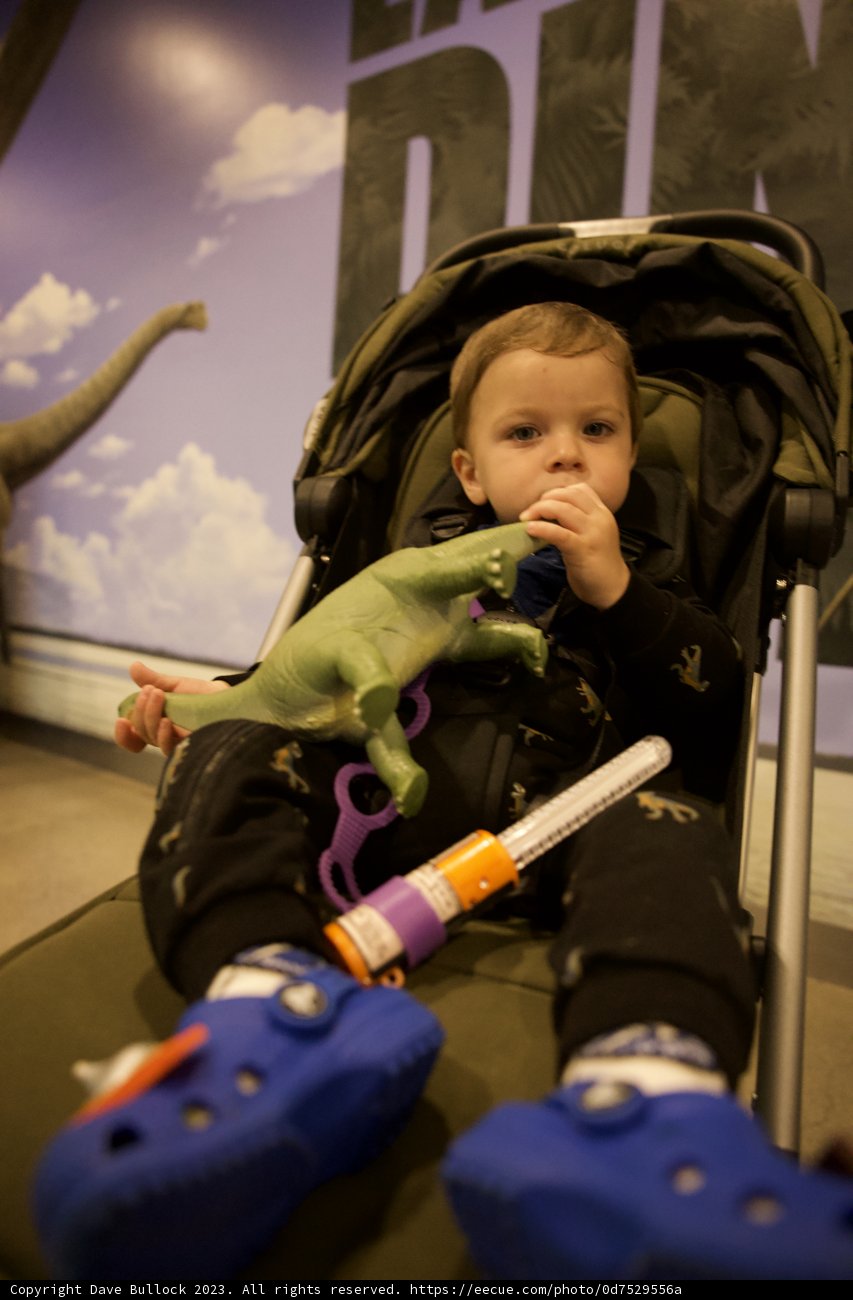 Dino Day Out with Baby Wesley! 