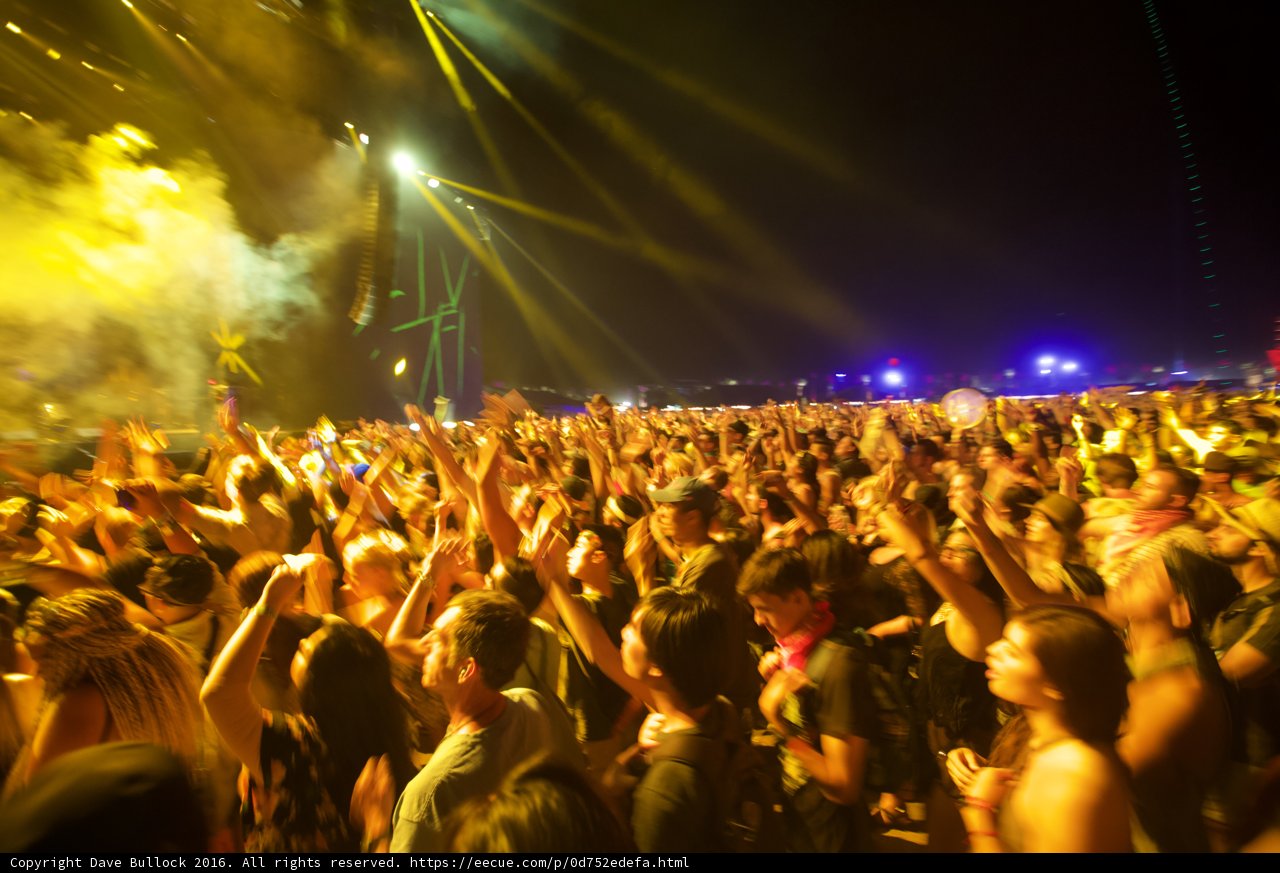 Rocking Out at Coachella
