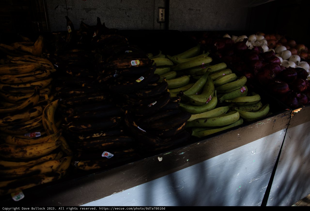 Bountiful Bananas