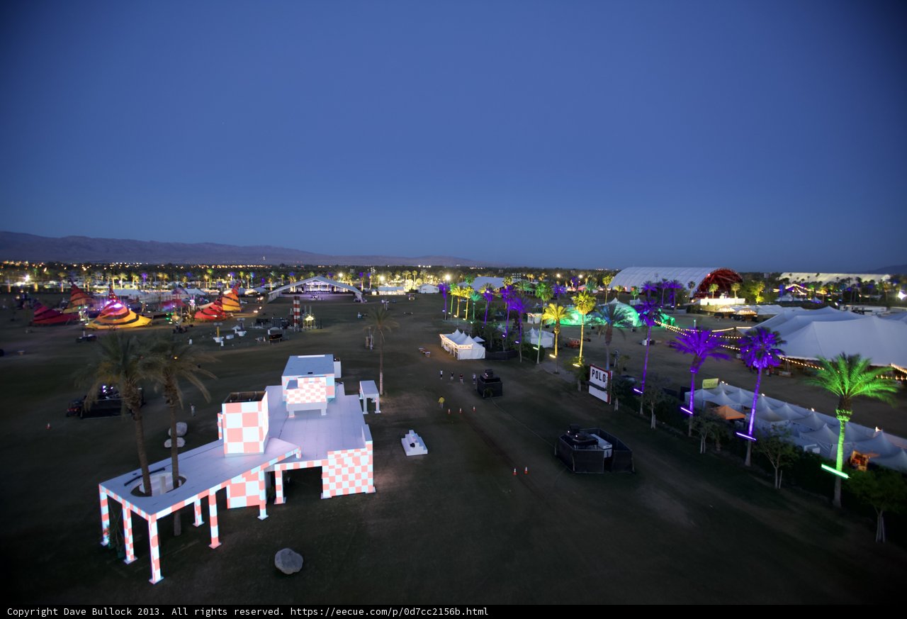 Lights and Palms at Coachella