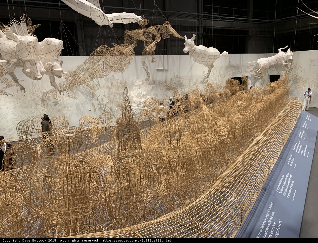 Interwoven Wonders