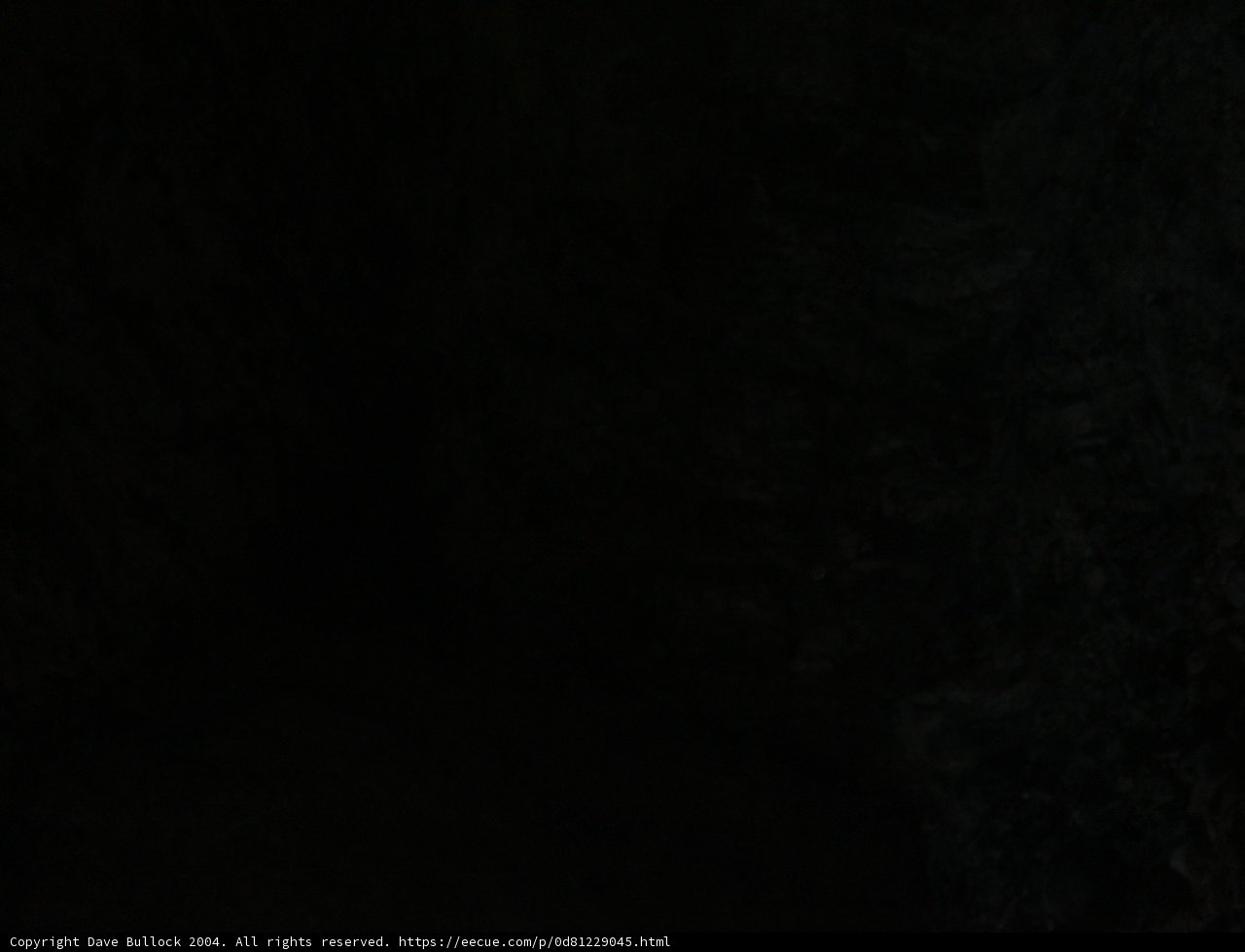 The Black Dungeon