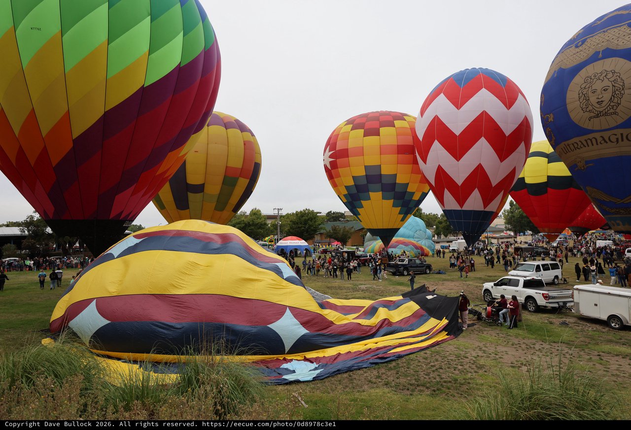 Colorful Hot Air Balloons Fill the Sky at Classic Festival