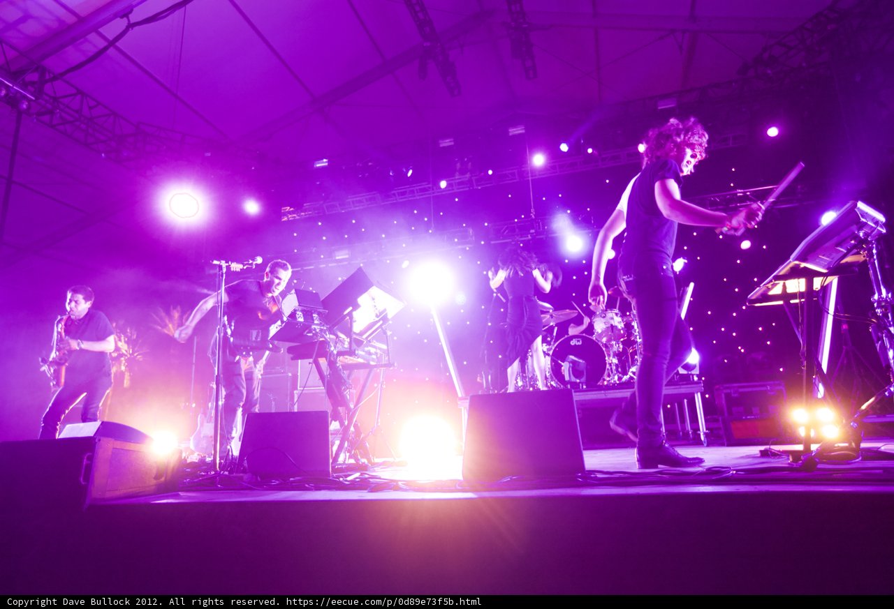 Purple Haze Performance