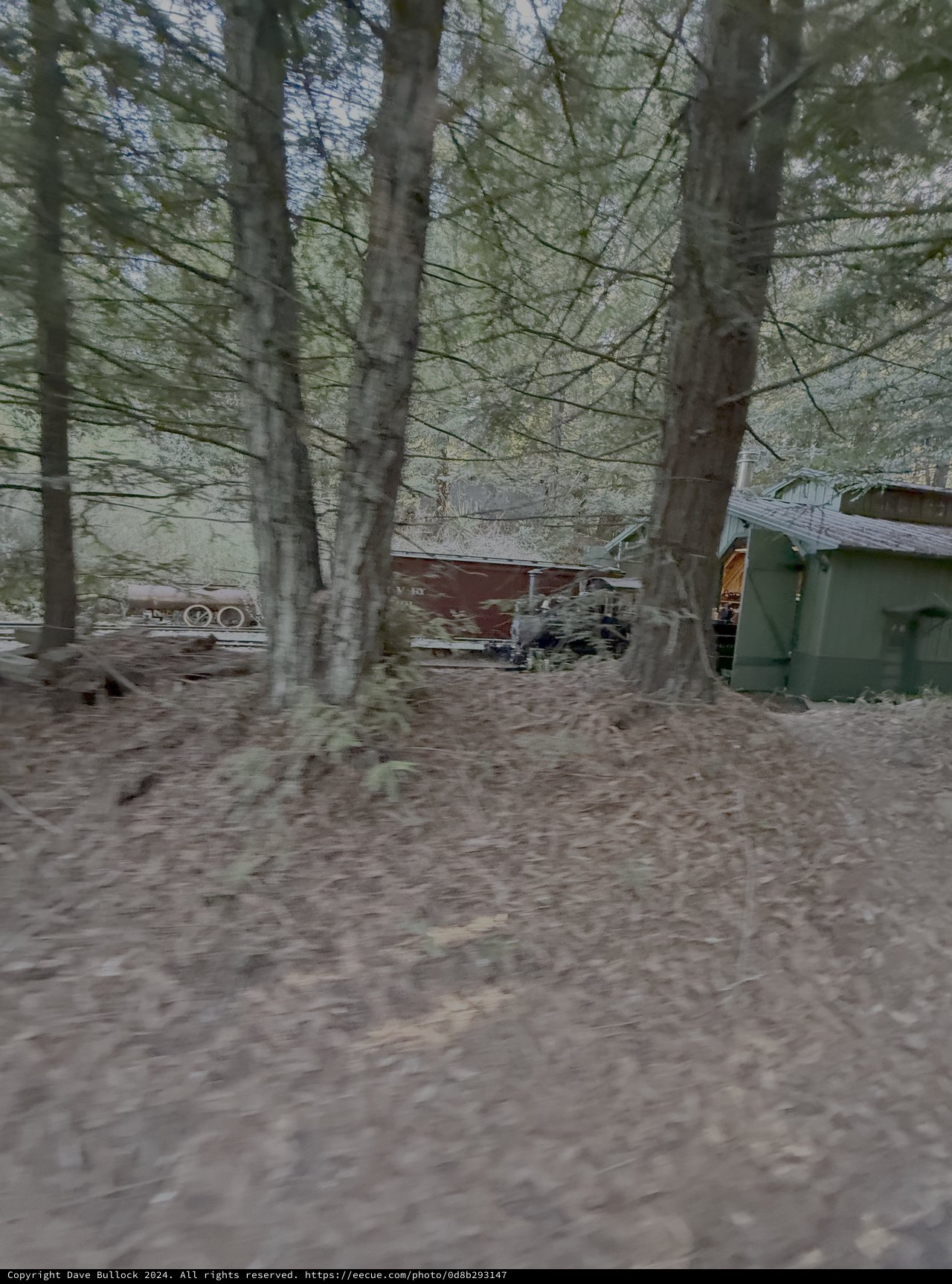Rustic Rural Property Through Bare Trees